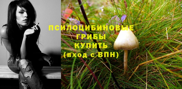 марки nbome Гусиноозёрск