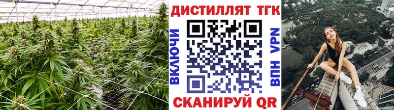 KRAKEN рабочий сайт  что такое   Обнинск  ТГК Wax 