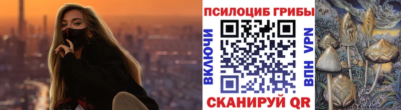 Галлюциногенные грибы GOLDEN TEACHER наркотики Обнинск